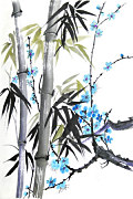 Art obraz Bambus zv6884